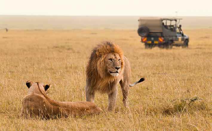 Why Are Tanzania Safaris So Expensive